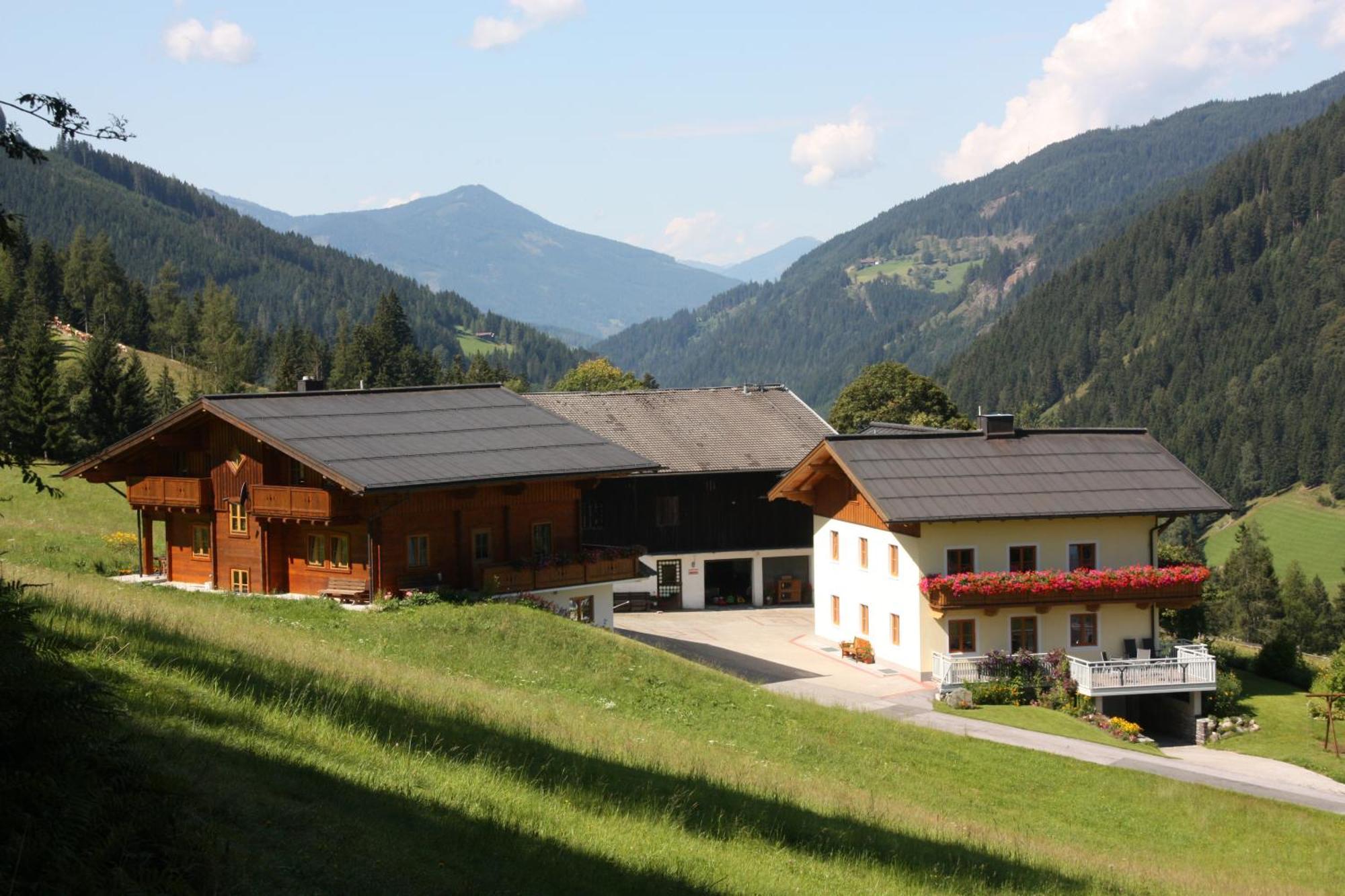 Apartament Apartements Richlegghof