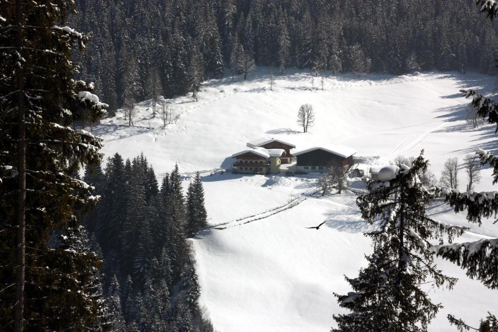 Apartament Apartements Richlegghof Filzmoos